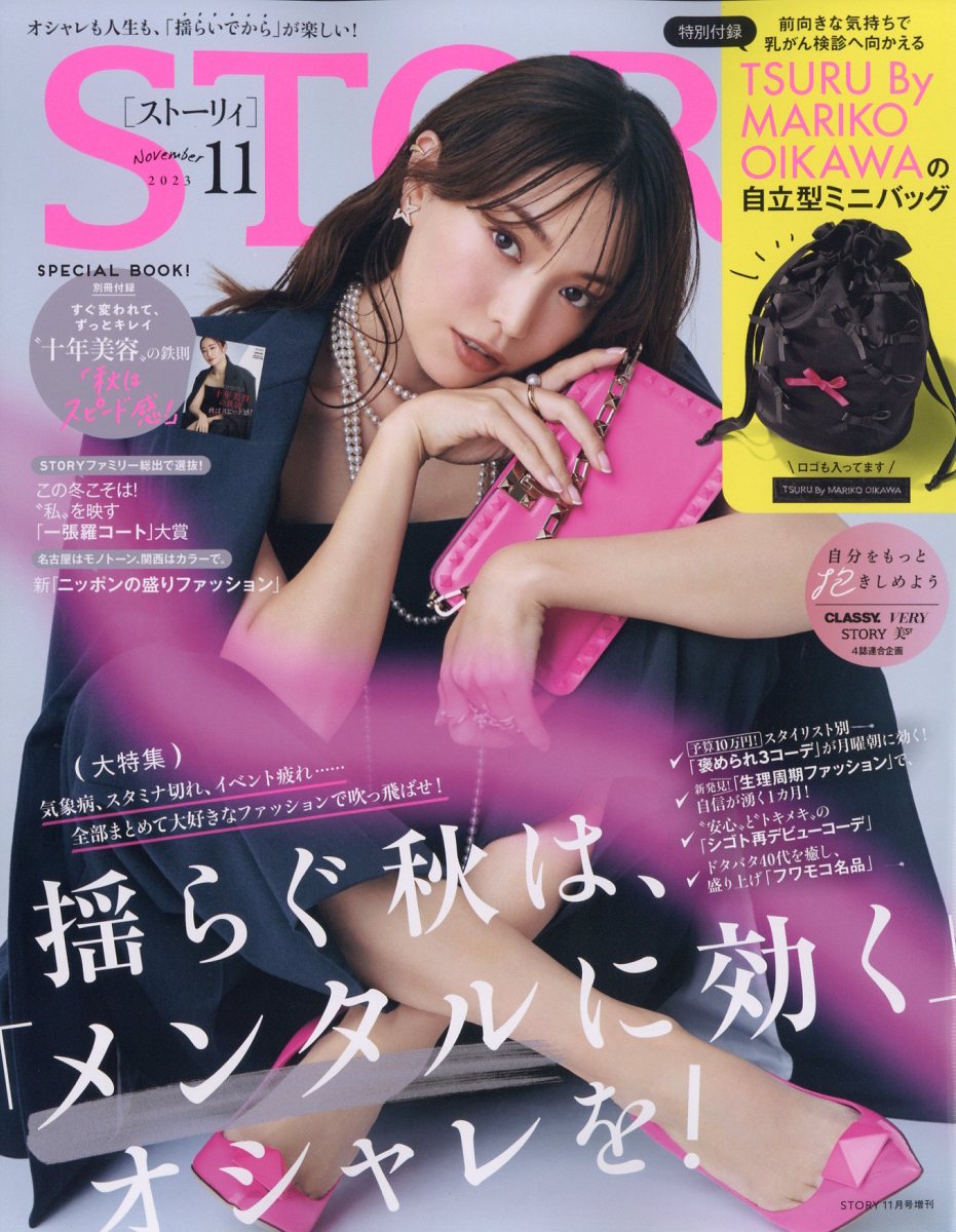 STORY4月号 増刊号 ストーリー4月号⭐︎付録なし 送料込み - 女性情報誌