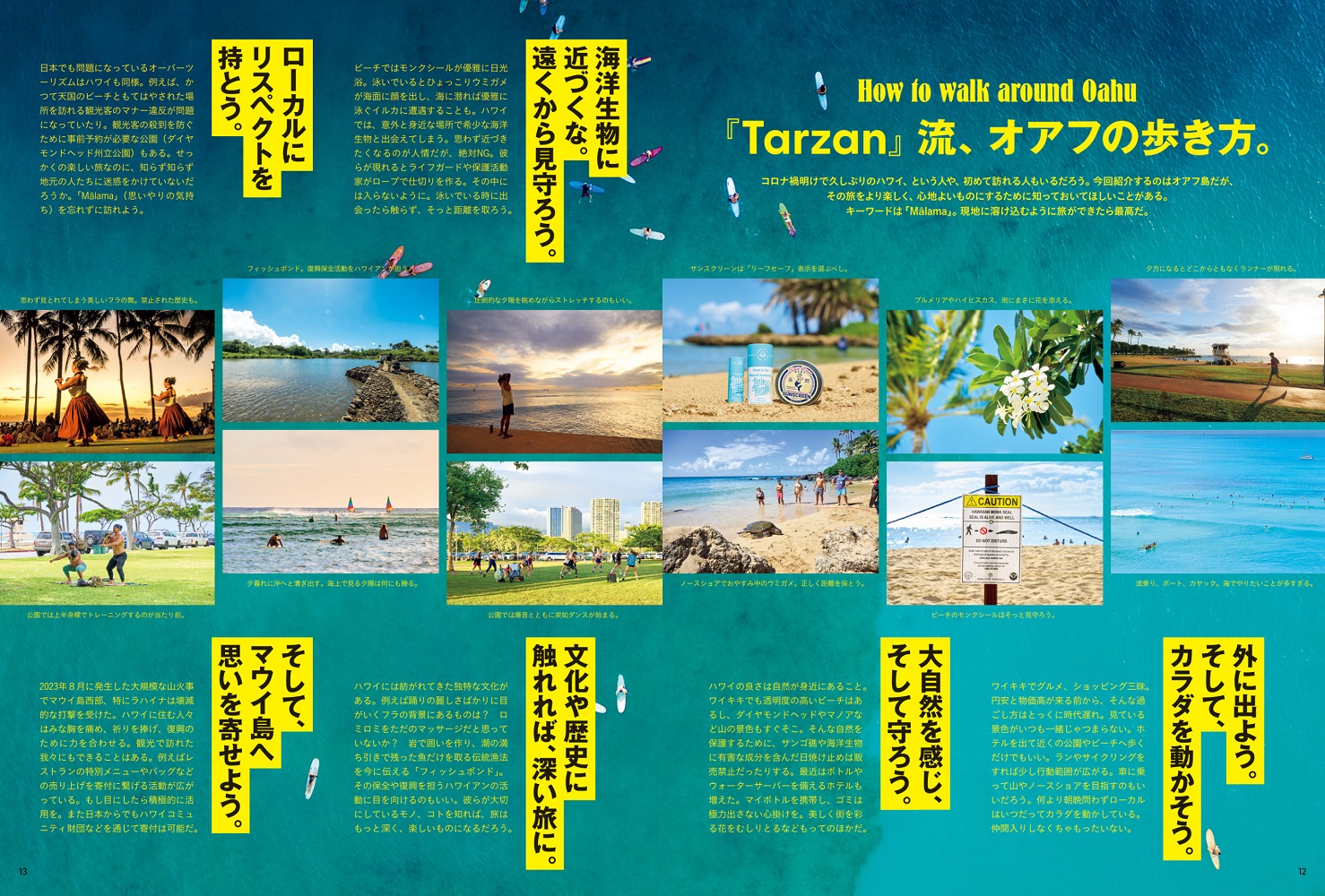 Tarzan�ʥ��������2023ǯ11/23��[����]