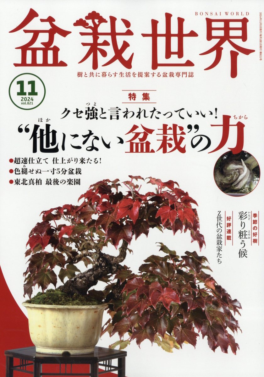楽天ブックス: 盆栽世界 2024年 11月号 [雑誌] - エスプレス・メディア 