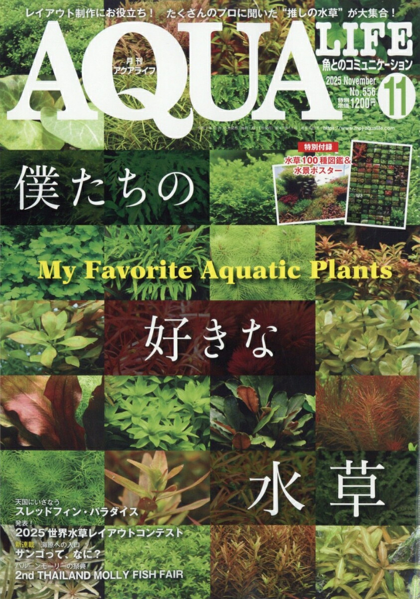 AQUALIFE(饤)2025ǯ11[]