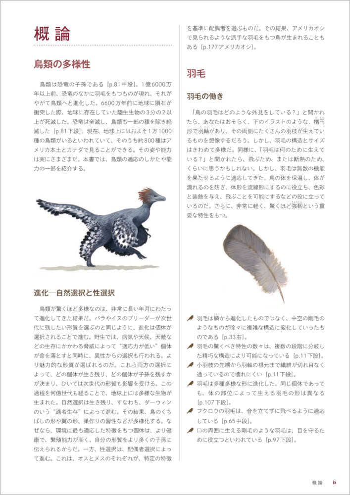 イラスト図解鳥になるのはどんな感じ？見るだけでは物足りないあなたのための鳥類学入門[デビッド・アレン・シブリー]