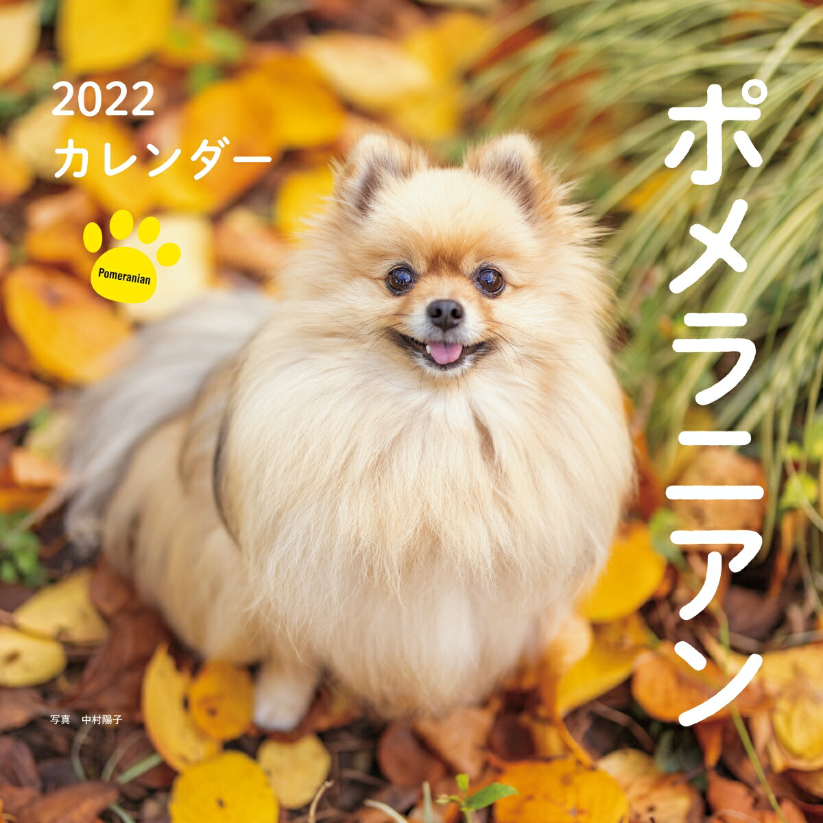 2022ǯݥ˥ʸƲҥ[¼ۻ]