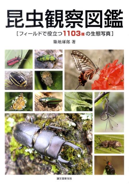 昆虫観察図鑑　フィールドで役立つ1103種の生態写真