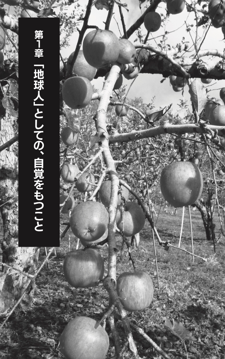 楽天ブックス 新装版 地球に生まれたあなたが今すぐしなくてはならないこと 木村 秋則 本