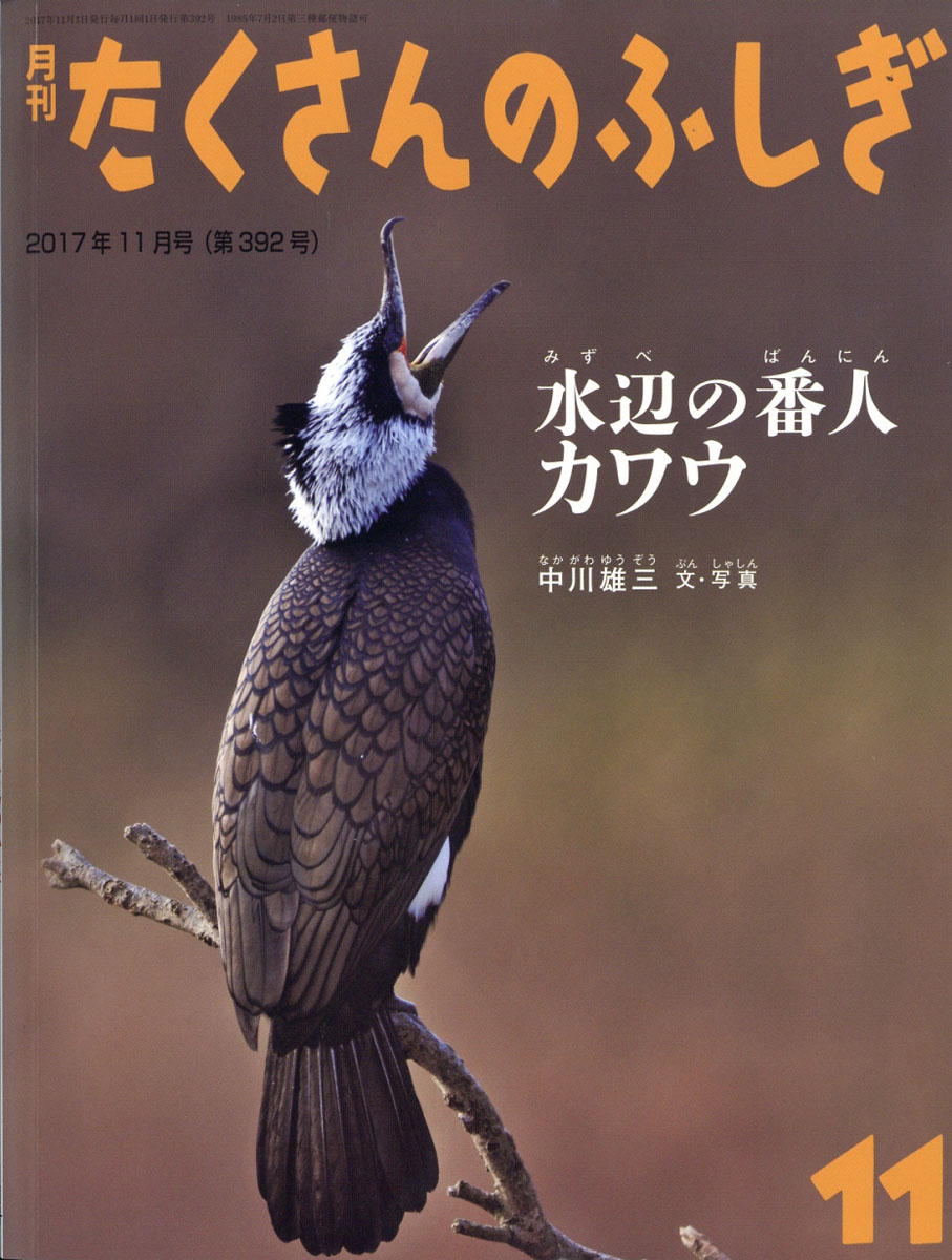 Τդ2017ǯ11[]