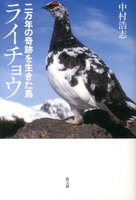 ǯδפĻ饤祦[¼]