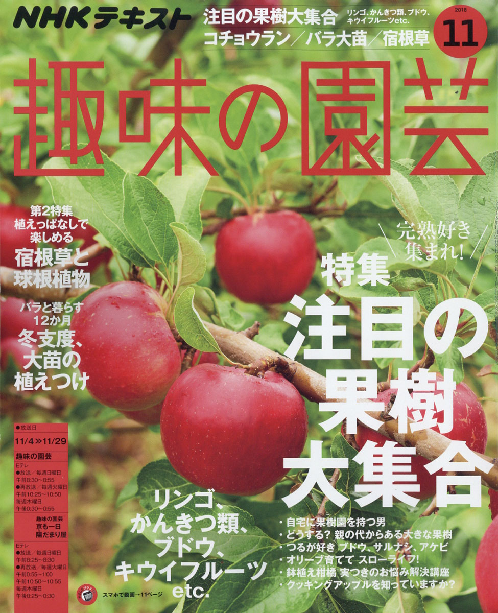 楽天ブックス Nhk 趣味の園芸 18年 11月号 雑誌 Nhk出版 雑誌
