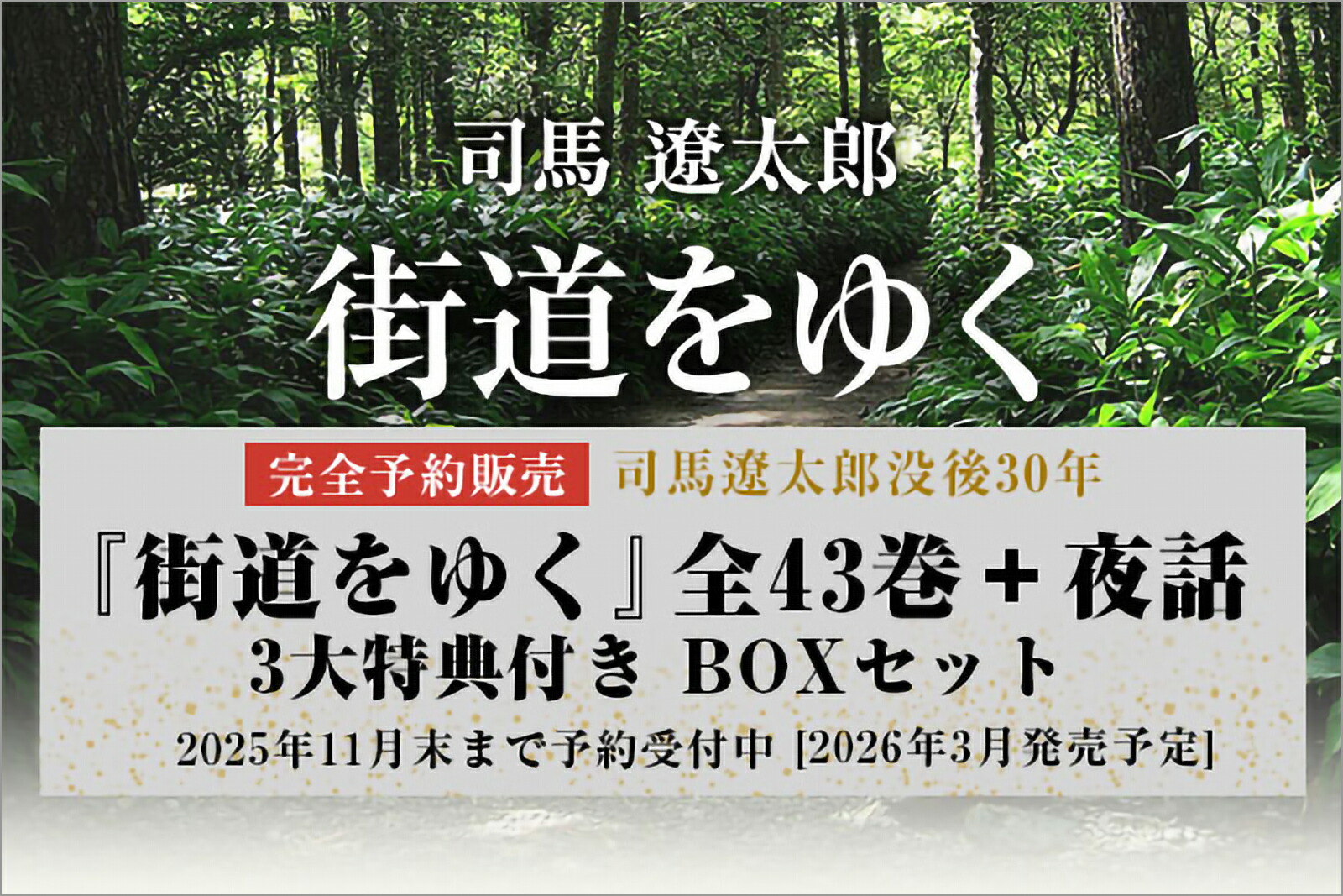 『街道をゆく』全43巻＋夜話　3大特典付き　完全予約販売BOXセット画像