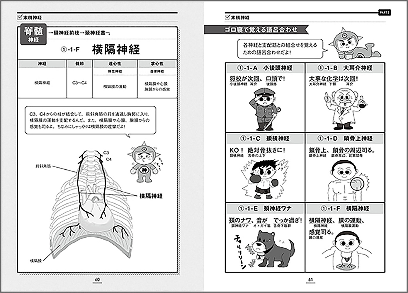 楽天ブックス 神経インパクト イラストと語呂で楽しく学ぶ解剖学 原田 晃 本