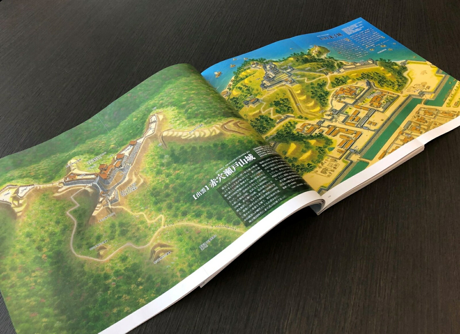 楽天ブックス ワイド パノラマ 鳥瞰 復元イラスト 戦国の城 香川元太郎 本