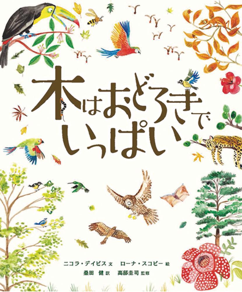楽天ブックス 木はおどろきでいっぱい ニコラ デイビス 本