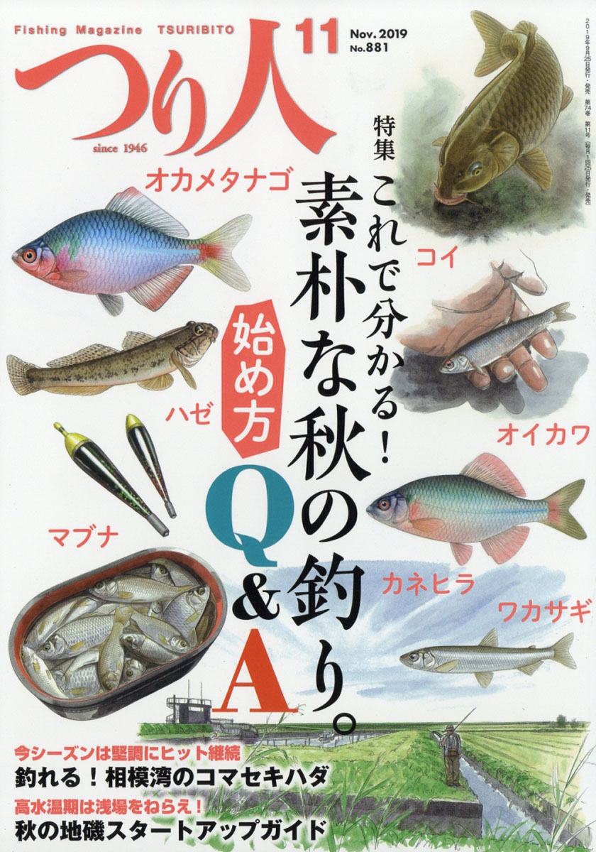 Ĥ2019ǯ11[]