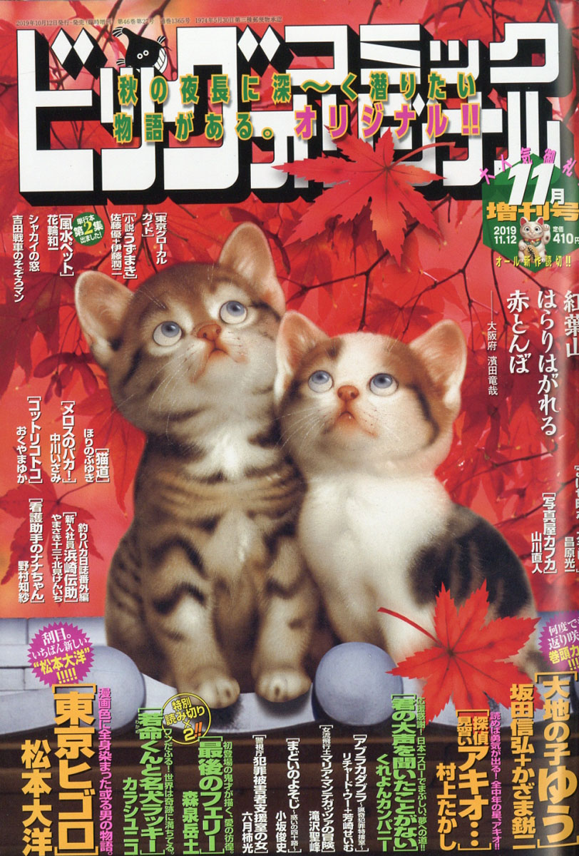 楽天ブックス ビッグコミックオリジナル 増刊号 19年 11 12号 雑誌 小学館 雑誌