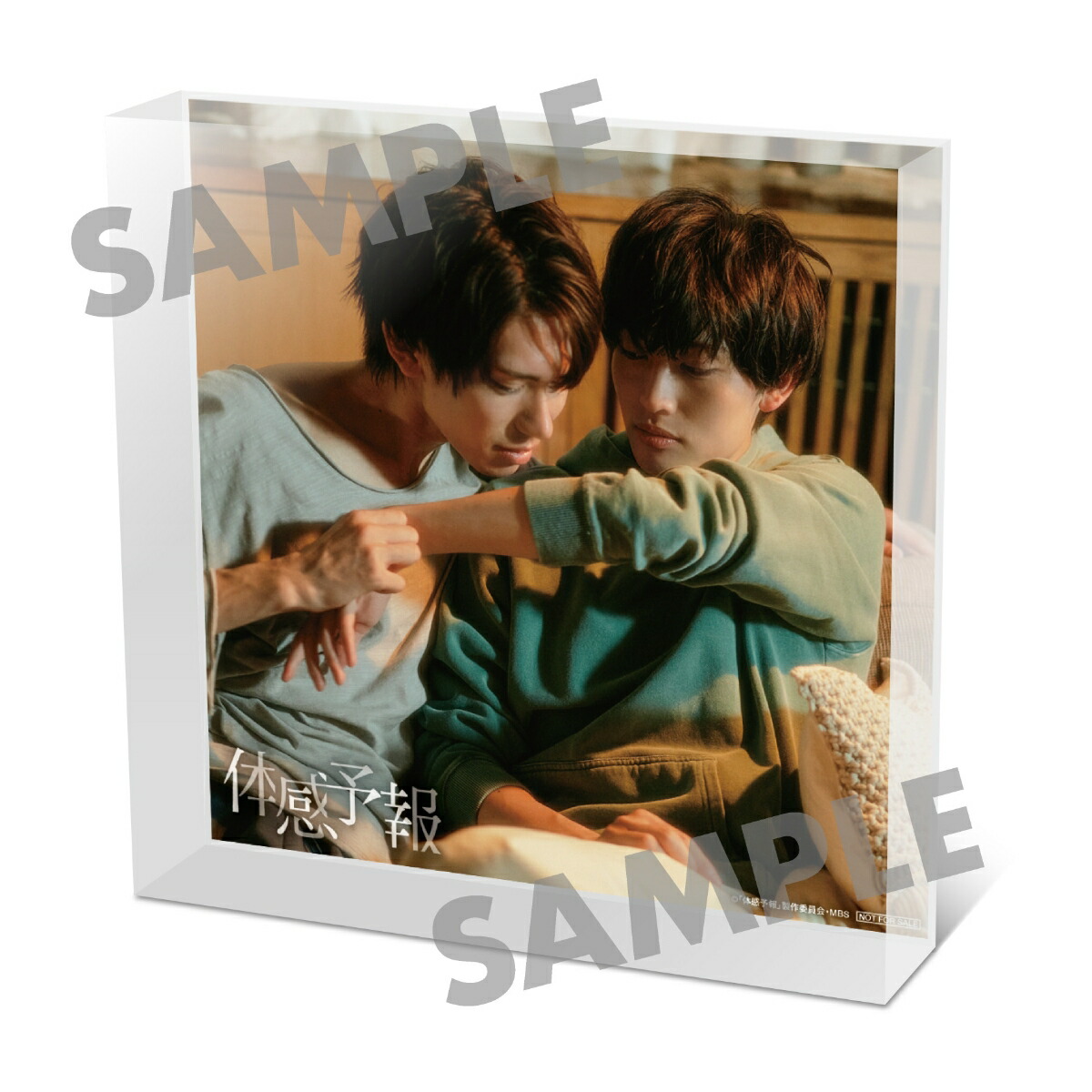 楽天ブックス限定配送BOX】体感予報 Blu-ray-BOX【Blu-ray】 [ 樋口幸平 ]