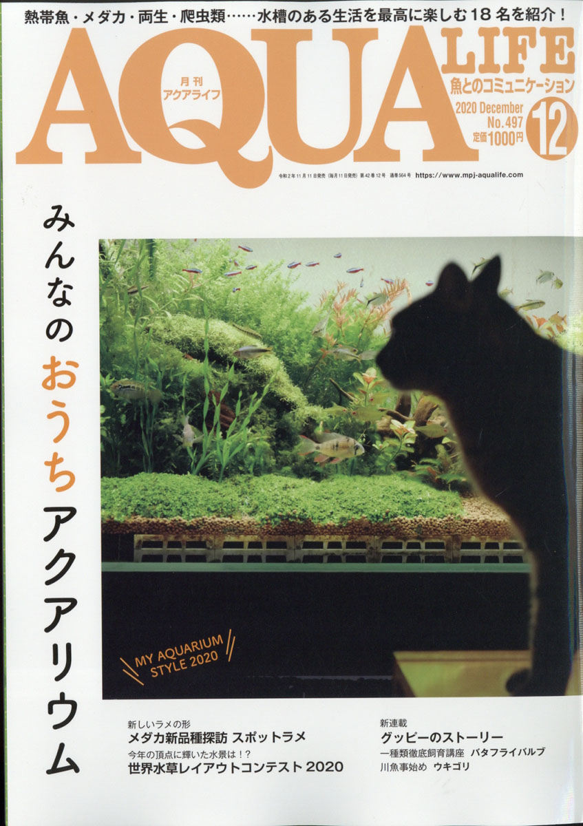 楽天ブックス 月刊 Aqua Life アクアライフ 年 12月号 雑誌 エムピー ジェー 雑誌