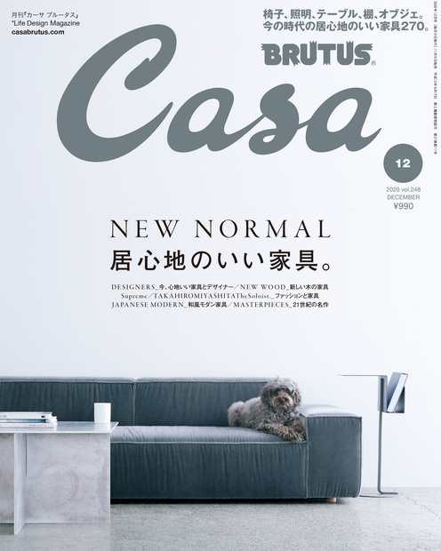 82%OFF!】 Casa BRUTUS 2002.1 インテリア最新スタイル 日焼け有 SAO