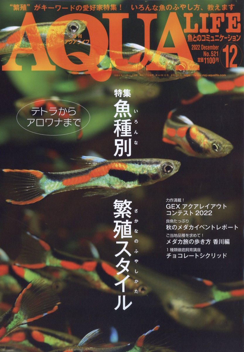 グッピーの軌跡」 追悼 筒井良樹 ［編集］月刊アクアライフ - 生活