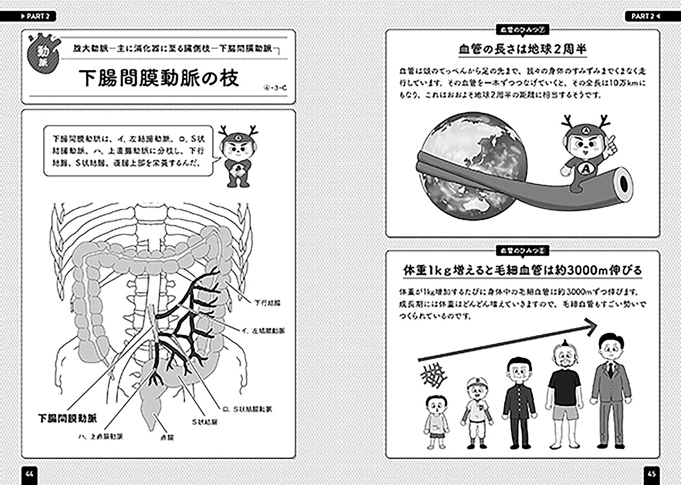 楽天ブックス 血管インパクト イラストと雑学で楽しく学ぶ解剖学 原田 晃 本