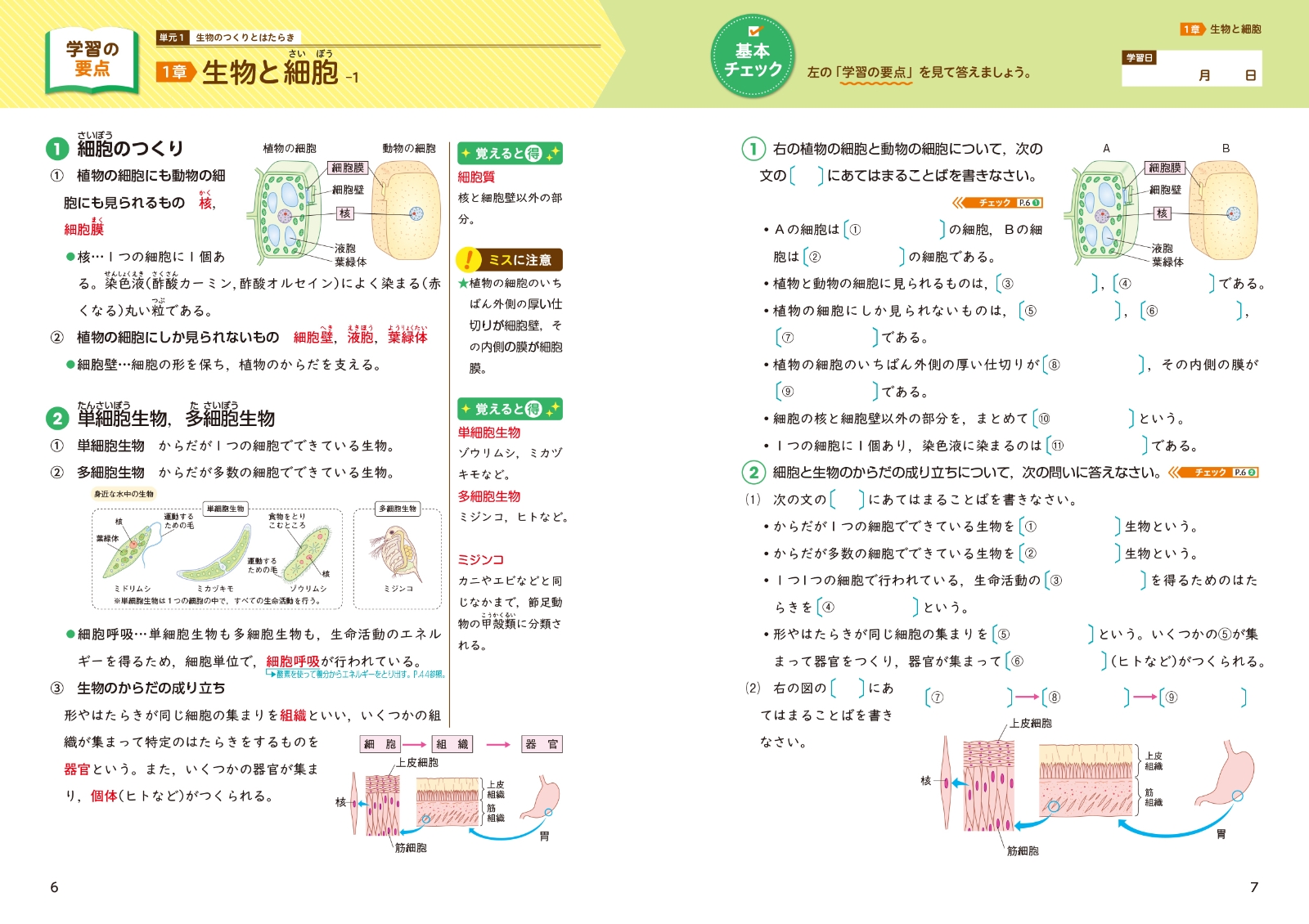 楽天ブックス できた 中2理科 生命 地球 2分野 本