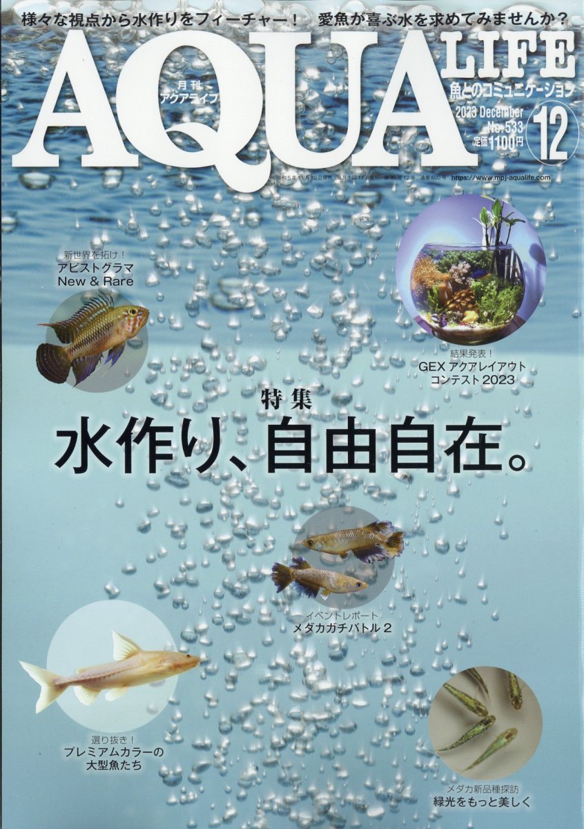 月刊 AQUA LIFE (アクアライフ) 2024年 3月号 月刊AQUA LIFE編集部