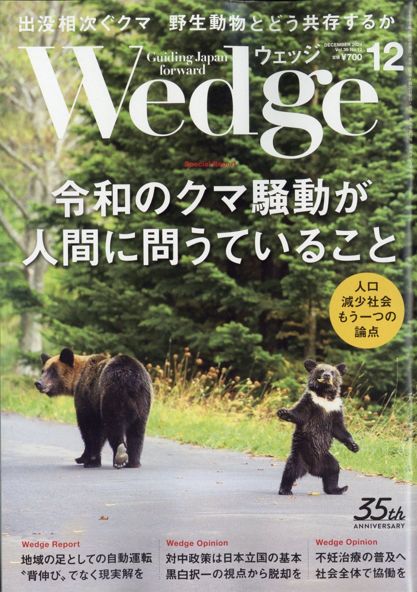 Wedge(å)2024ǯ12[]