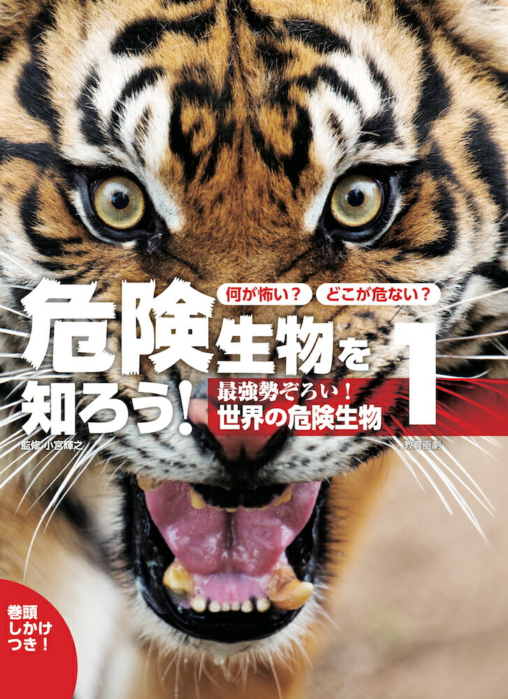 楽天ブックス 何が怖い どこが危ない 危険生物を知ろう 1 小宮輝之 本