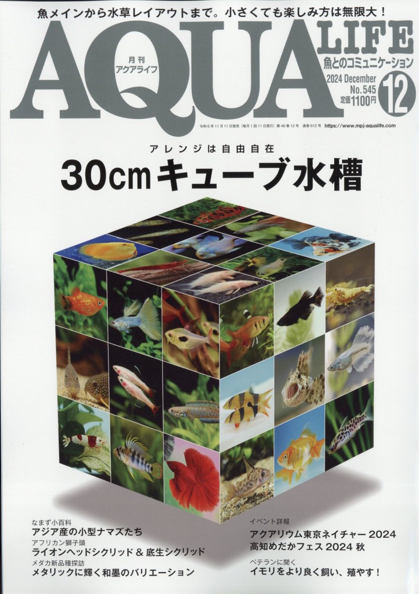 楽天ブックス: 月刊 AQUA LIFE (アクアライフ) 2024年 12月号 [雑誌] - エムピー・ジェー - 4910014551244 :  雑誌