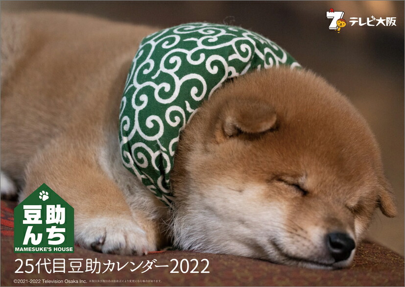 楽天ブックス 豆助んち 25代目豆助カレンダー22 22年1月始まりカレンダー 本