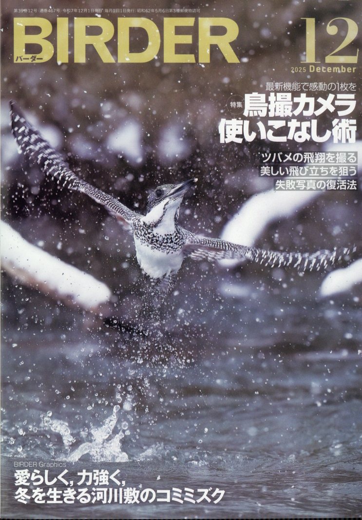BIRDER(�С�����)2025ǯ12���[����]