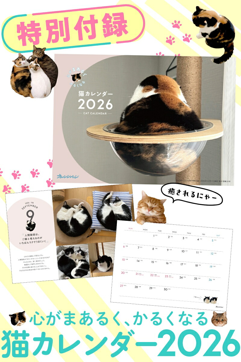 ����󥸥ڡ���2025ǯ12/17��[����]