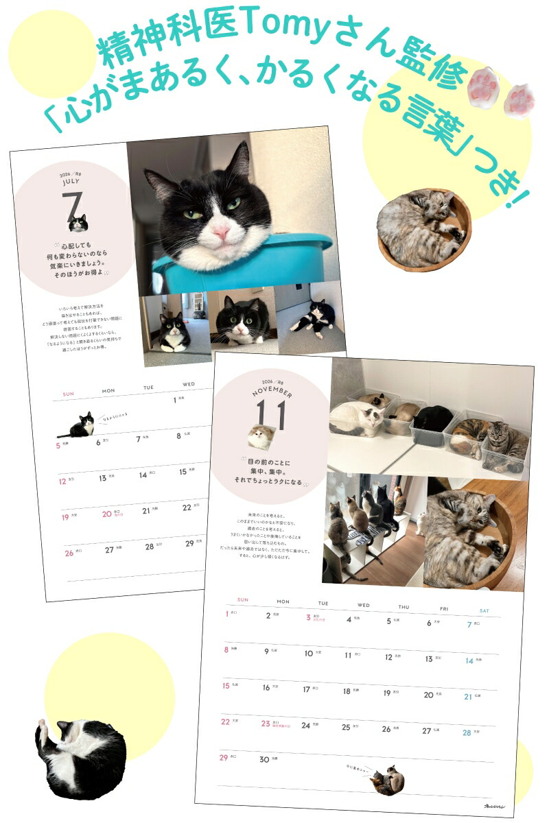 ����󥸥ڡ���2025ǯ12/17��[����]