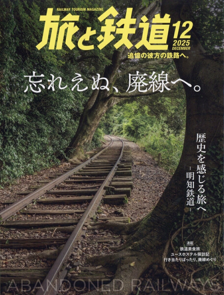 ι��Ŵƻ2025ǯ12���[����]