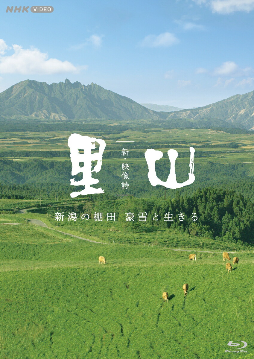 楽天ブックス: 新・映像詩 里山 「阿蘇の大草原 火山と生きる」【Blu