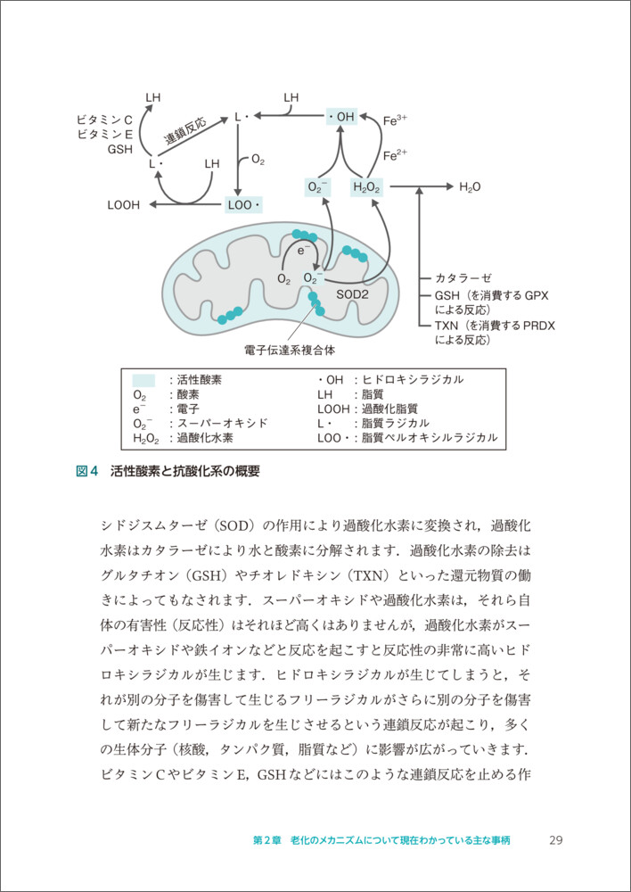 老化研究をはじめる前に読む本[高杉征樹]
