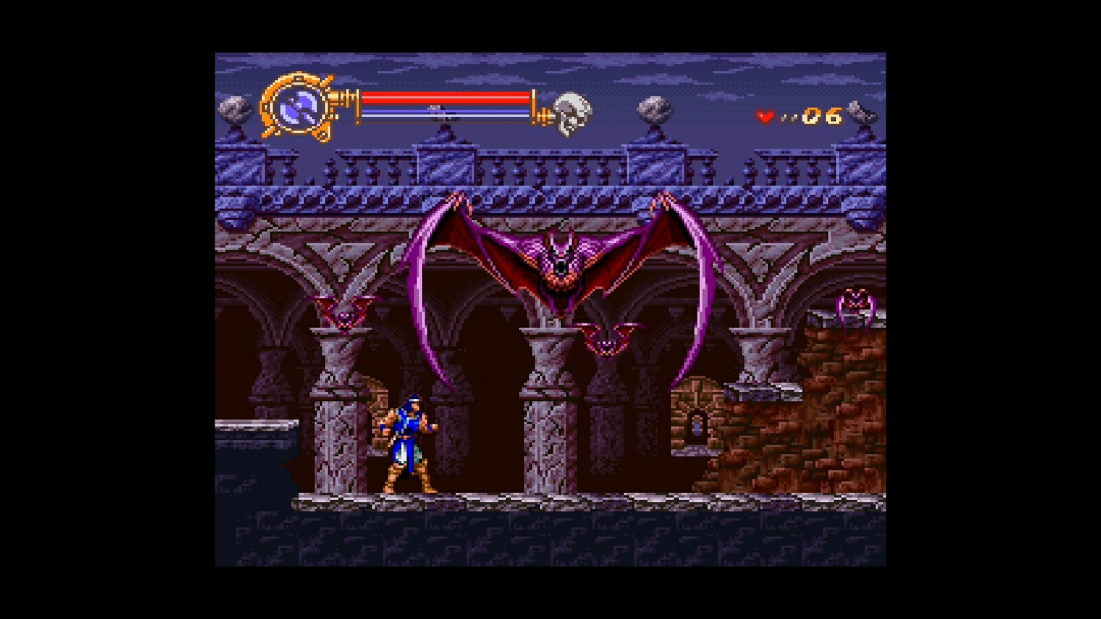 【楽天ブックス限定特典】CastlevaniaAdvanceCollectionDELUXEEDITIONPS4版(両面アクリルキーホルダー（7.5cm角）2個セット)
