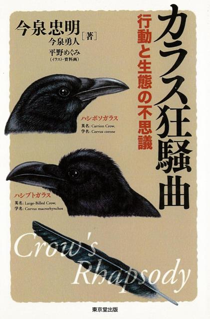 楽天ブックス バーゲン本 カラス狂騒曲 行動と生態の不思議 今泉 忠明 本