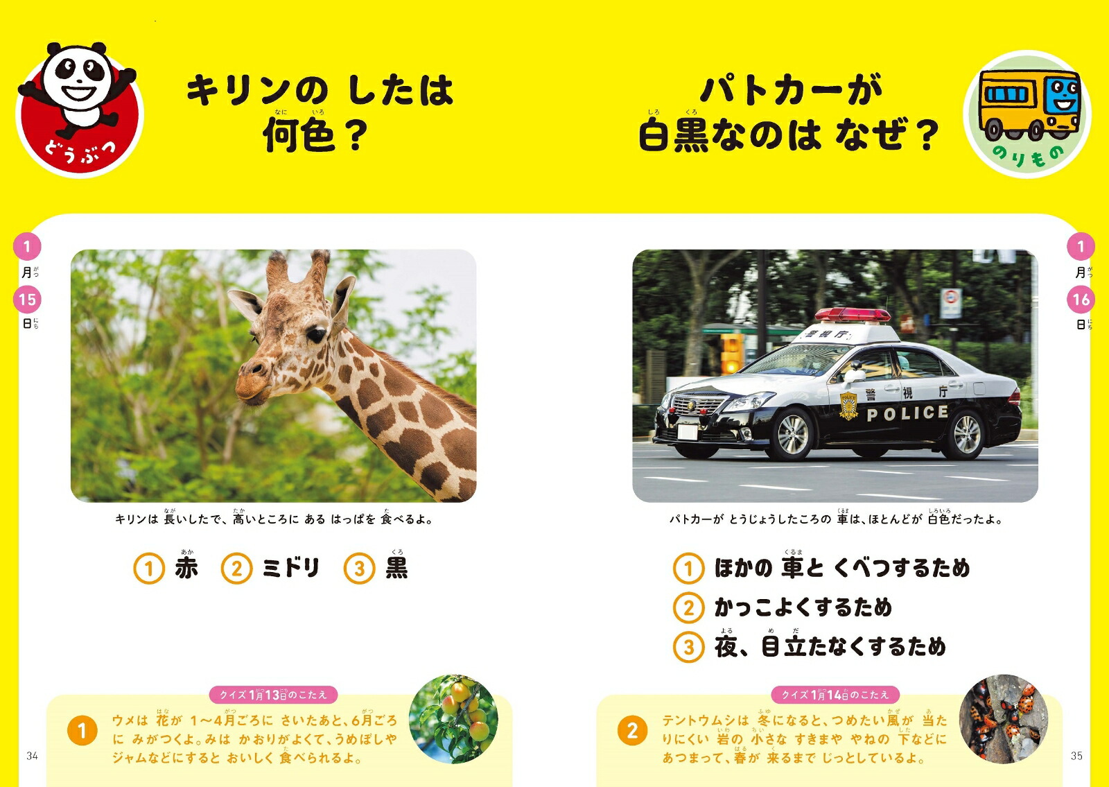 �ޤ��ˤ��ΰ饯����3661��1�ڡ�����Ƭ���褯�ʤ롪[��������]