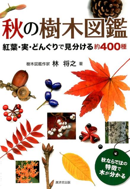 楽天ブックス 秋の樹木図鑑 紅葉 実 どんぐりで見分ける約400種 林将之 本