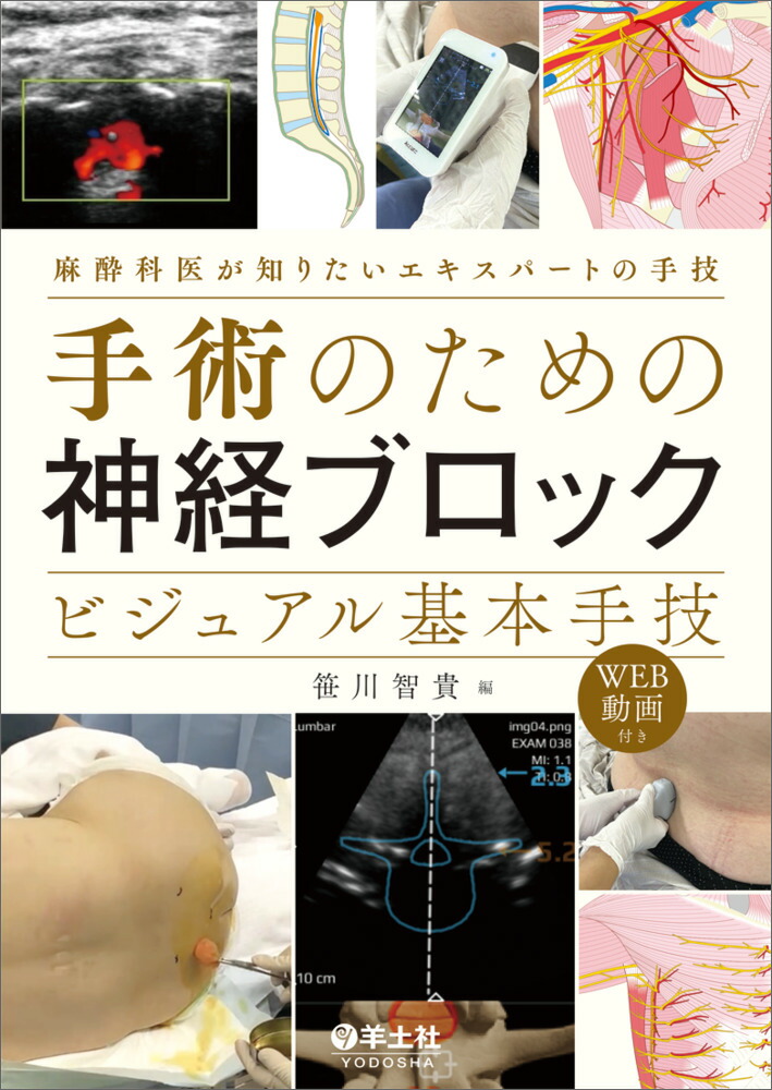 ѤΤοХ֥åӥ奢ܼ굻[ҵ]