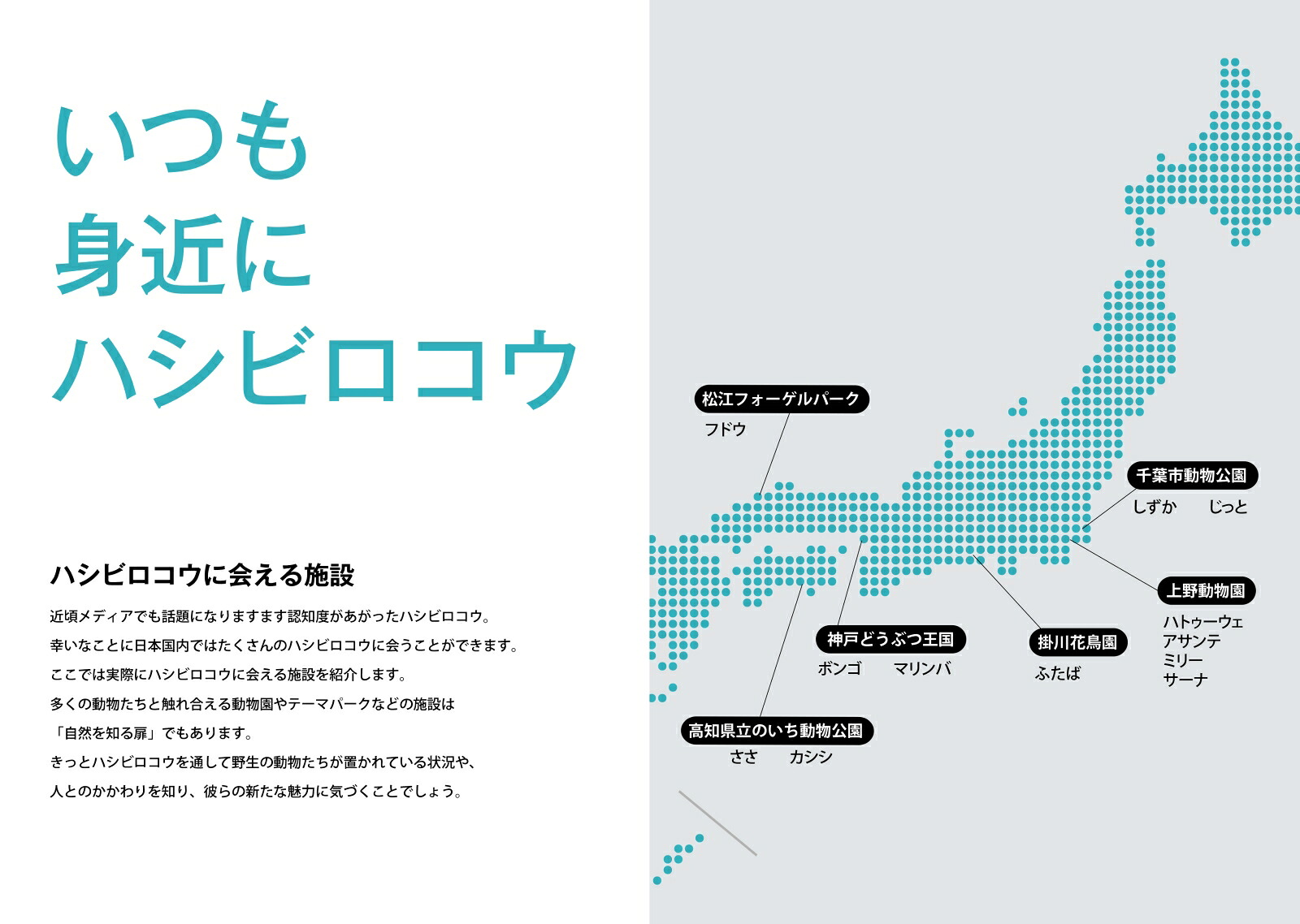 2025ハシビロコウ手帳[南幅俊輔Presents]