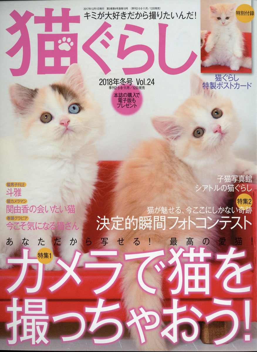 安い 雑誌 猫 ぐらし