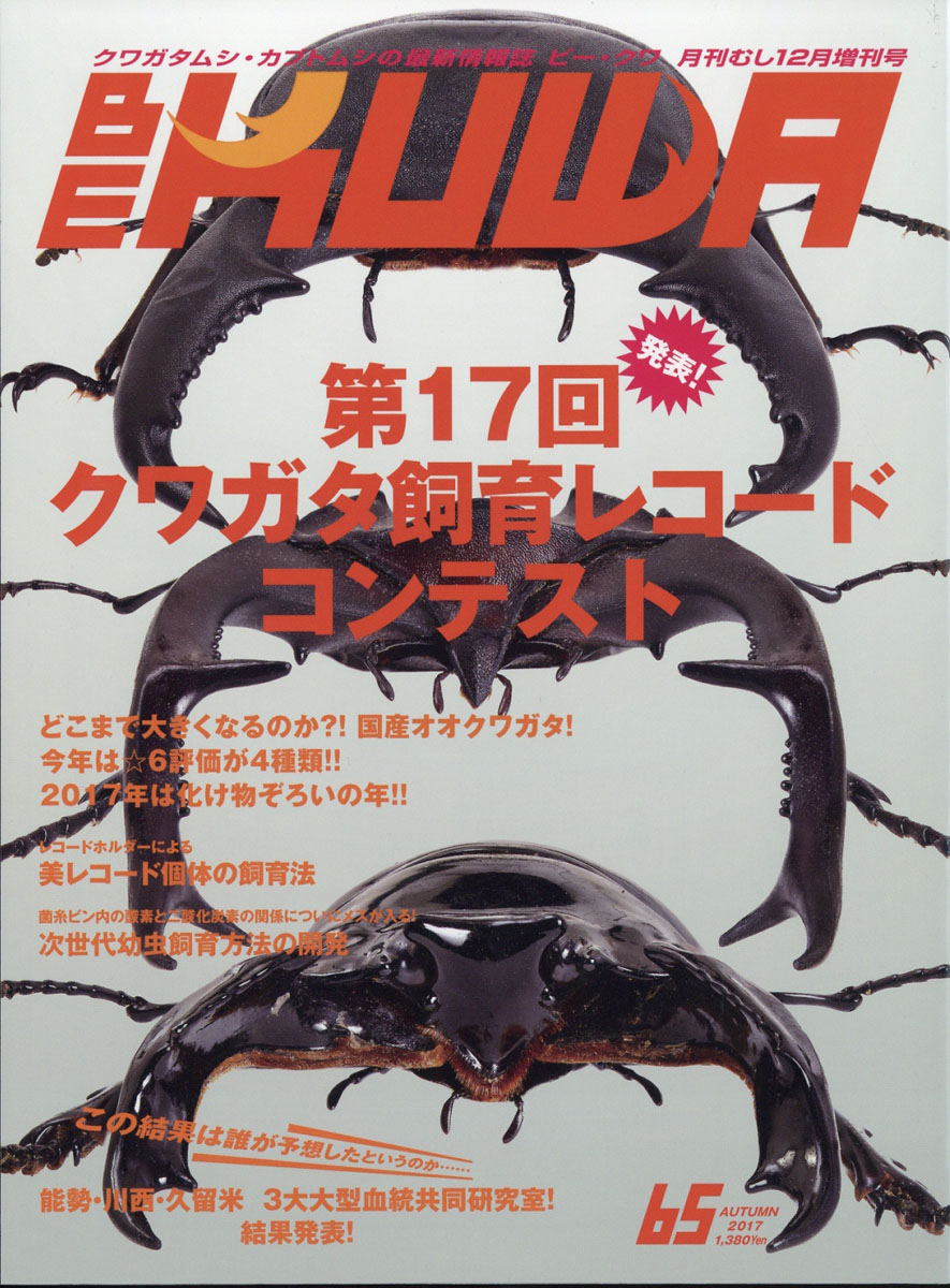 月刊むし　BE-KUWA（ビークワ）65 2017年12月 BE-KUWA（ビークワ） 85 (発売日2022年10月14日) | 雑誌/電子