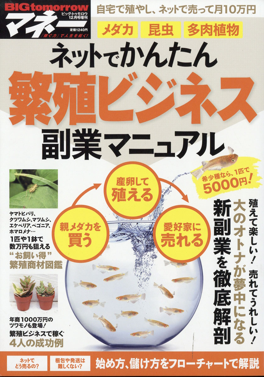 BIGtomorrowMONEY(�ӥå����ȥ�������ޥ͡�)�˿��ӥ��ͥ����ȥޥ˥奢��2017ǯ12���[����]