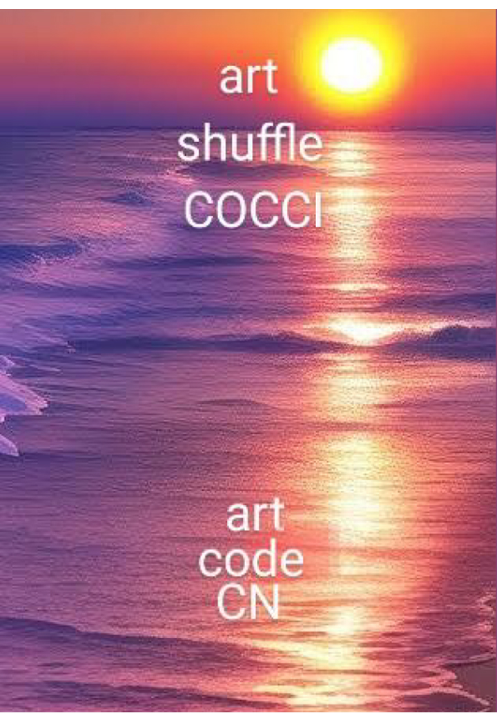 【POD】art shuffle COCCI 　art code CN画像