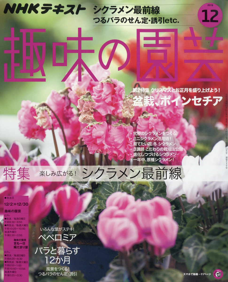 楽天ブックス Nhk 趣味の園芸 18年 12月号 雑誌 Nhk出版 雑誌