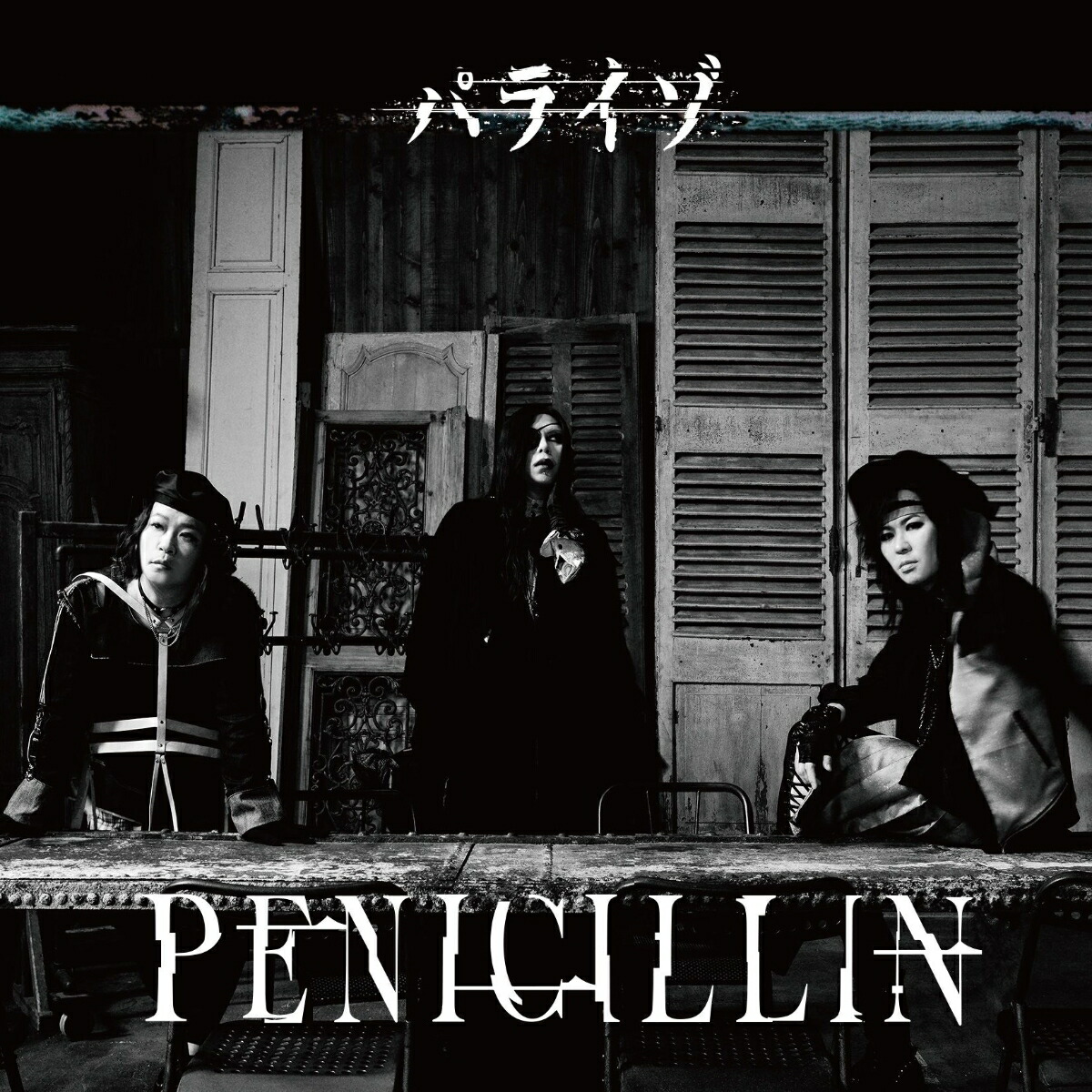 ڳŷ֥åŵۥѥ饤(CD¿ǥ֥åå)(̥Хå)[PENICILLIN]