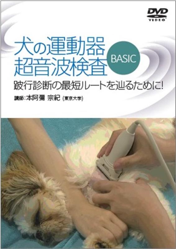 犬の運動器超音波検査 / 本阿彌宗紀 - 紀伊國屋書店ウェブストア