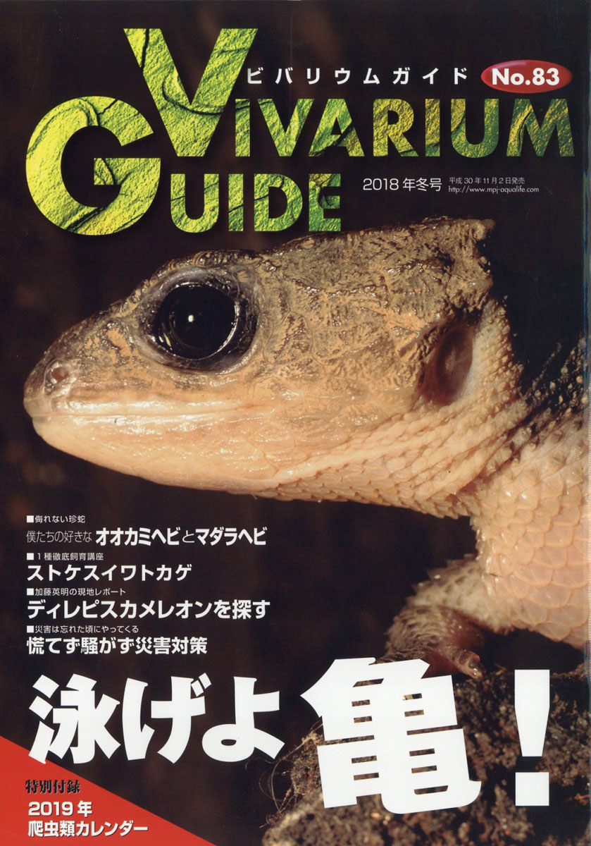 楽天ブックス: ビバリウムガイド 2018年 12月号 [雑誌] - エムピー