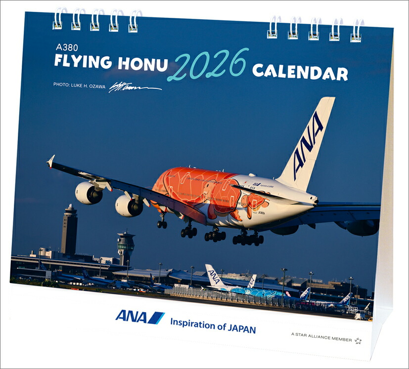 楽天市場】ANA フライングホヌ アナ Flying Honu ラニ カイ ラー