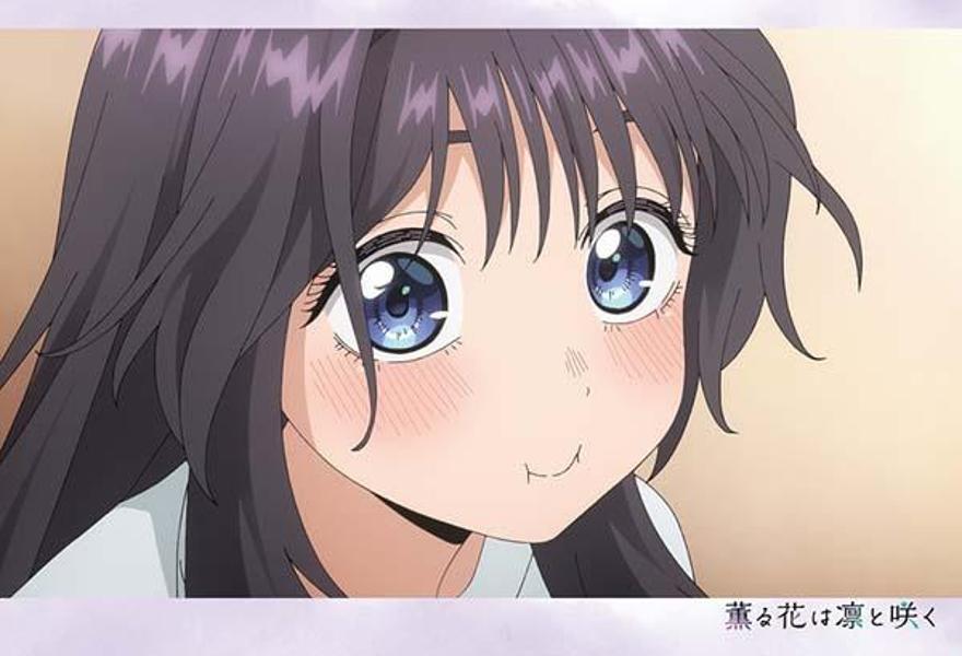 TV���˥ᷰ��֤��ۤȺ餯�ݥ��ȥ����ɥ֥å���KC�ǥ�å�����[���ḫ����]